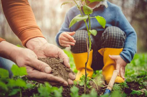 celebration of life ideas for the gardener